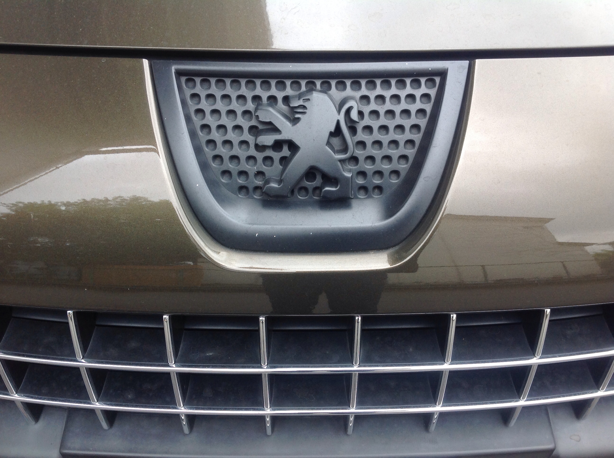 早いもので。。。