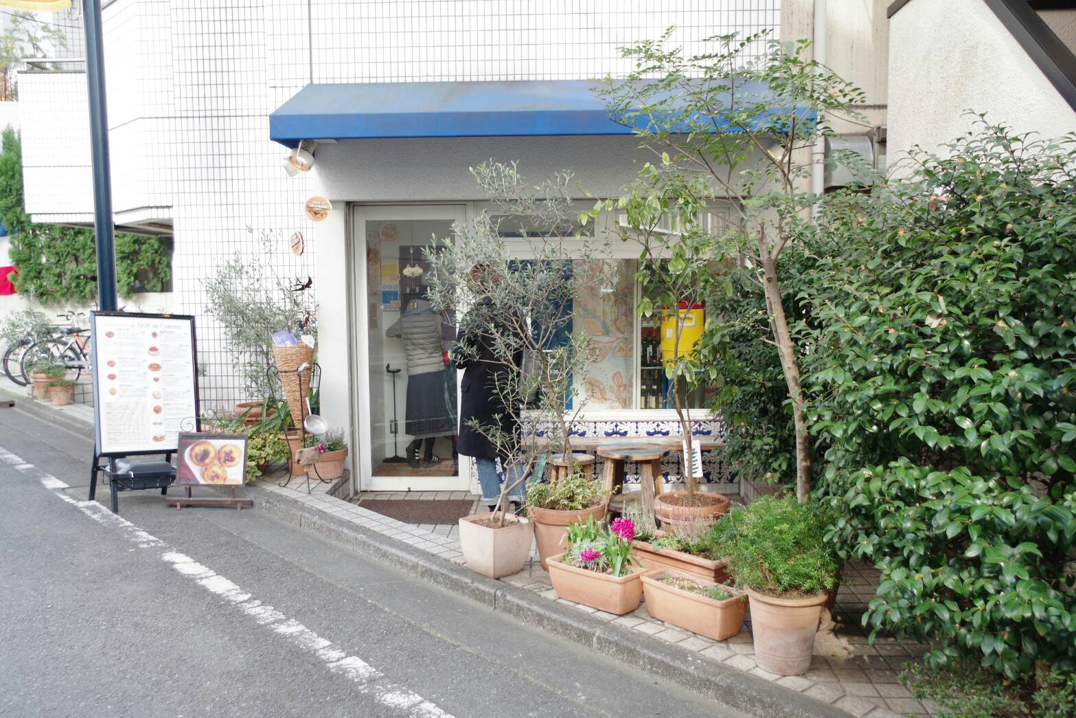 春ですね♪