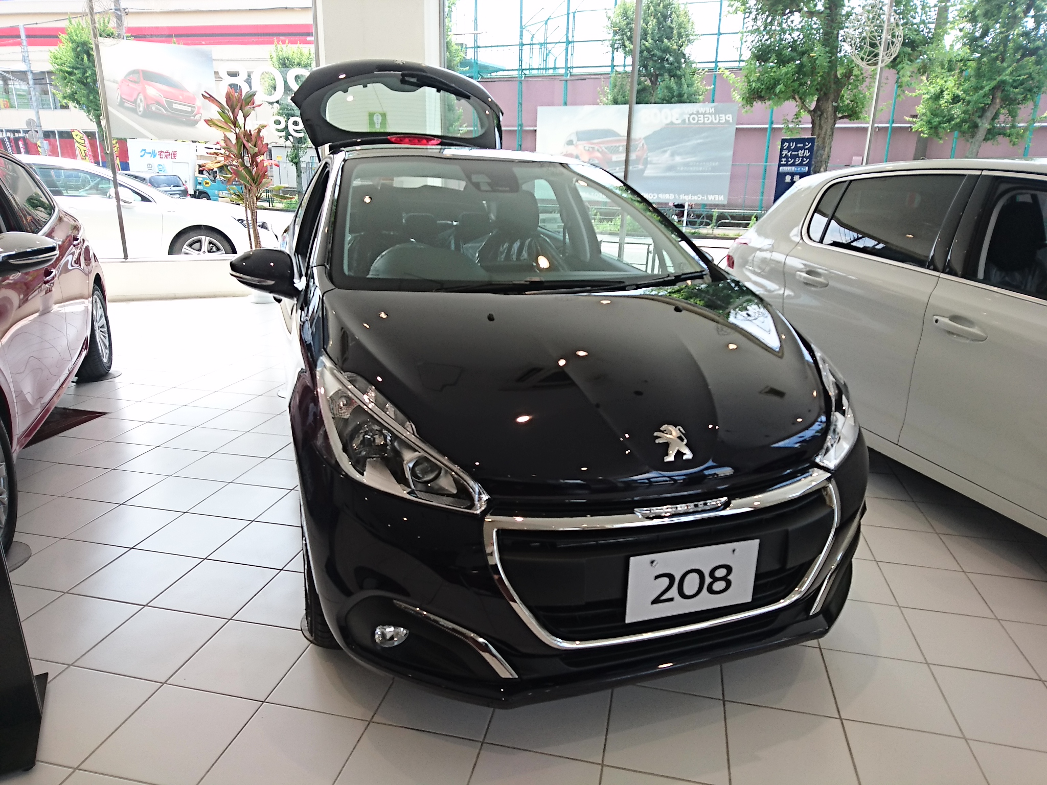 ショールームの新しい1台
