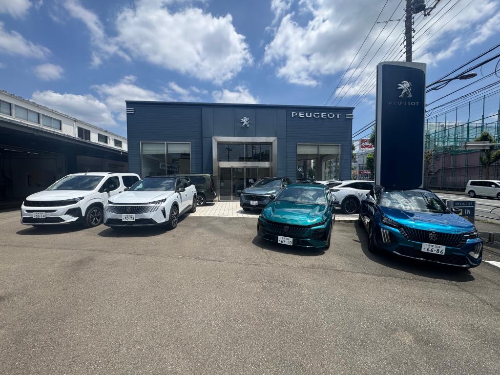 6月より価格改定にて値上がりいたします。