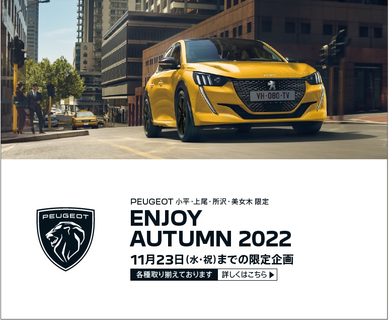 バナーアイコンPEUGEOT.jpg