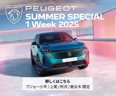 PEUGEOT WEB Banner.jpg