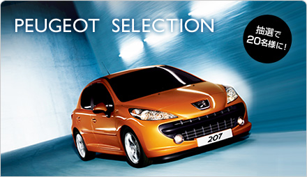 今週いっぱいです！