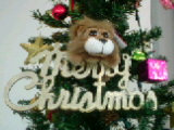 ♪♪メリークリスマス♪♪　2009