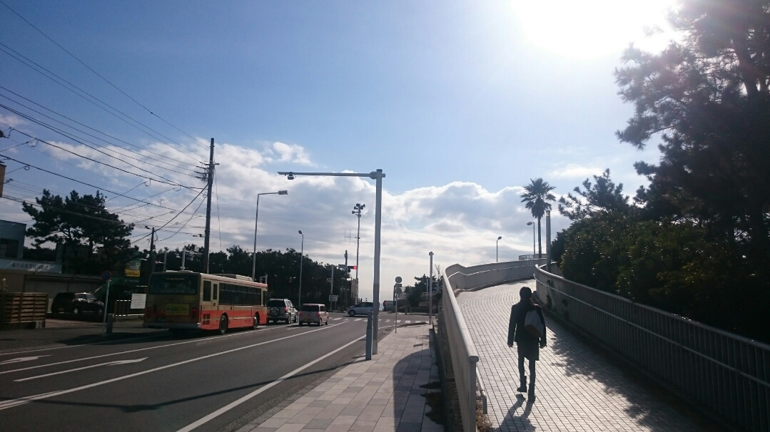 辻堂海浜公園その②