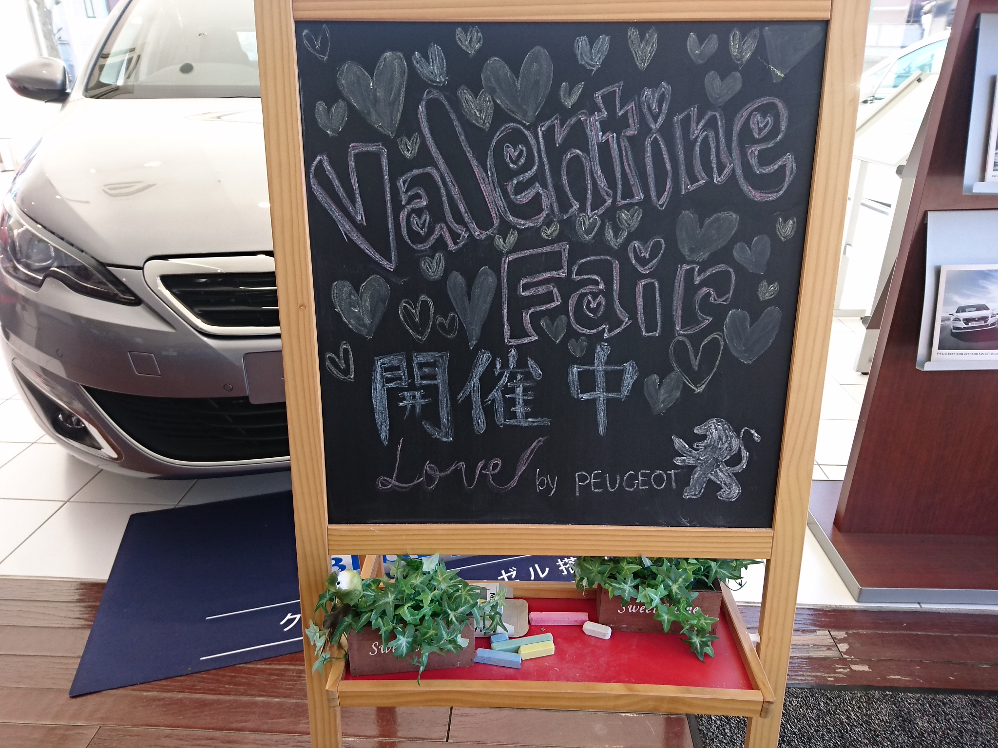 新参者、三枝がお届けします！