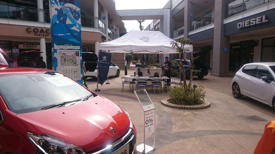 イベント盛沢山の6月♪