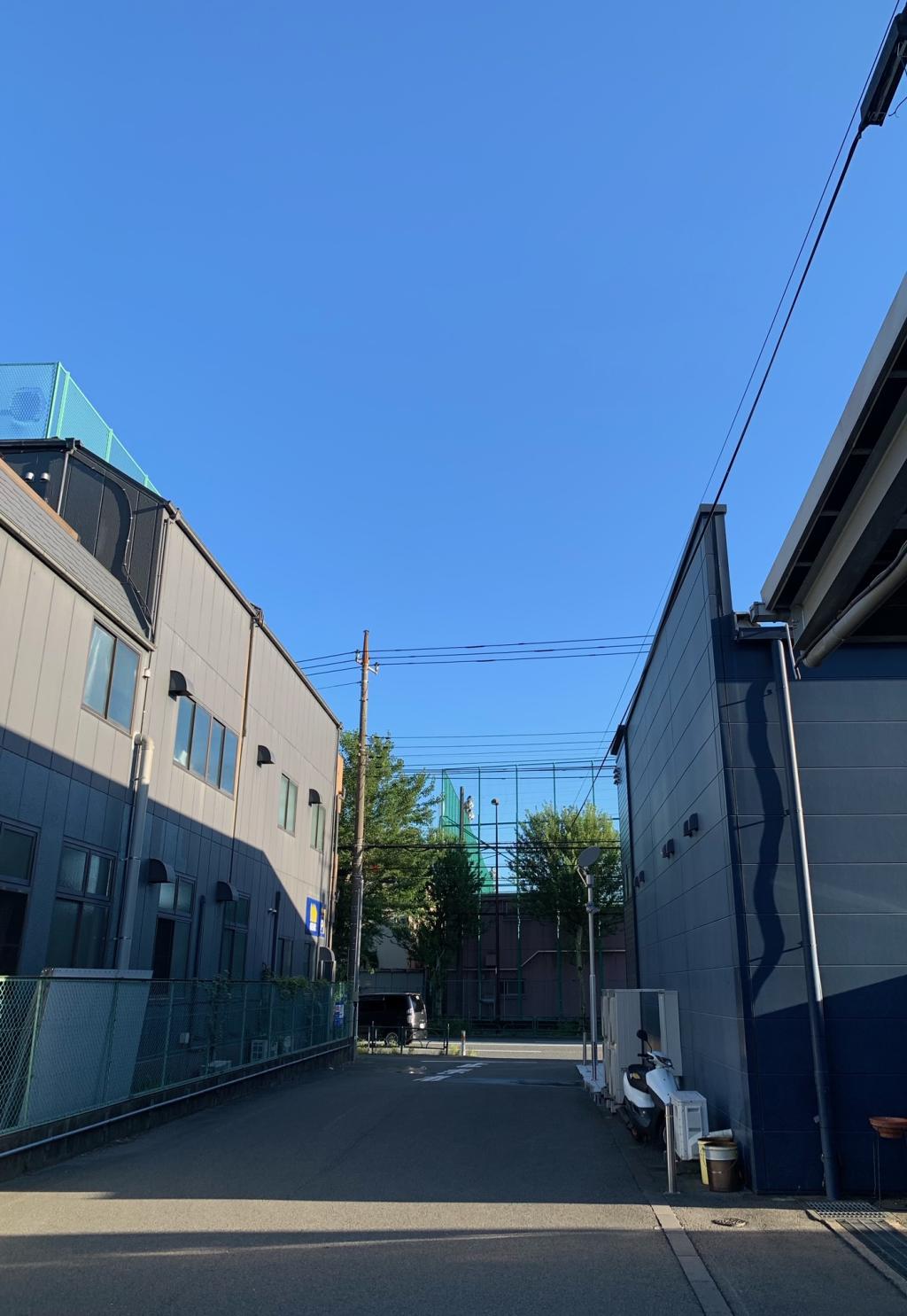 8月になりました。