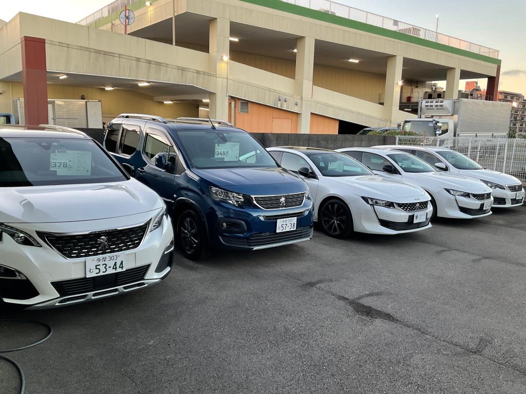認定中古車続々登場！