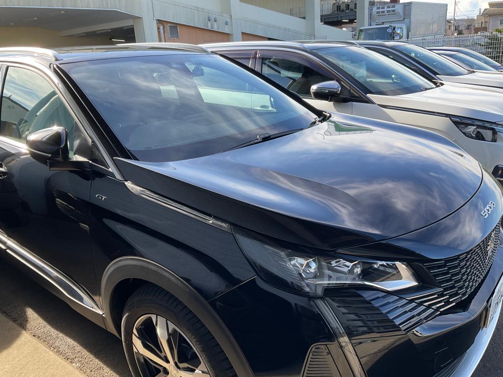 認定中古車続々登場予定！