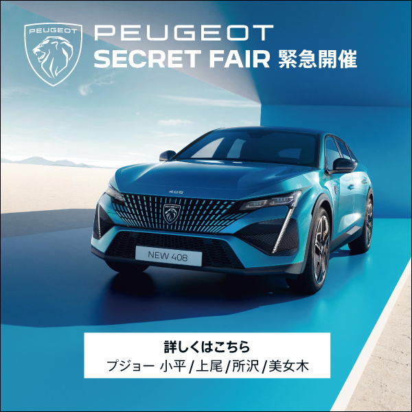 Peugeot - ☆PEUGEOT 