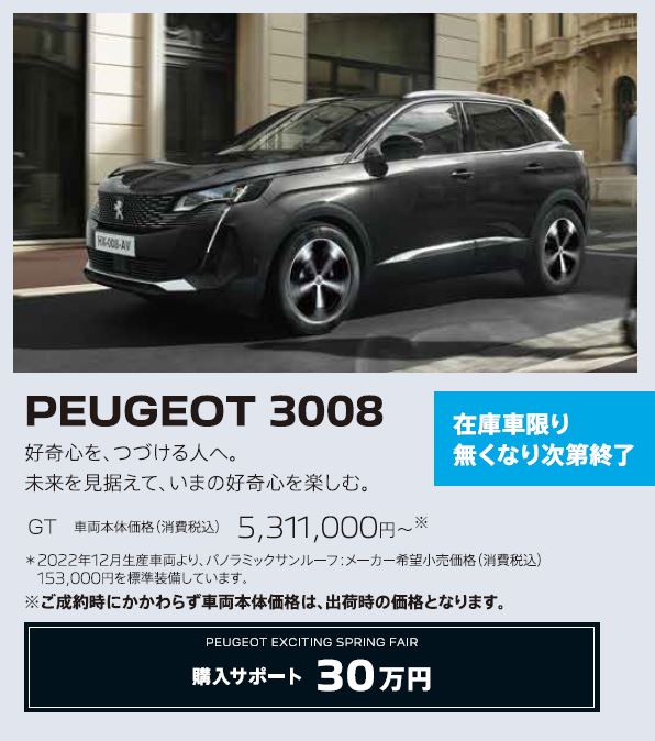 在庫車限り無くなり次第終了 PEUGEOT 3008 / 好奇心を、つづける人へ。未来を見据えて、いまの好奇心を楽しむ。 GT 車両本体価格（消費税込）5,158,000円～ | アクセサリーサポート25万円